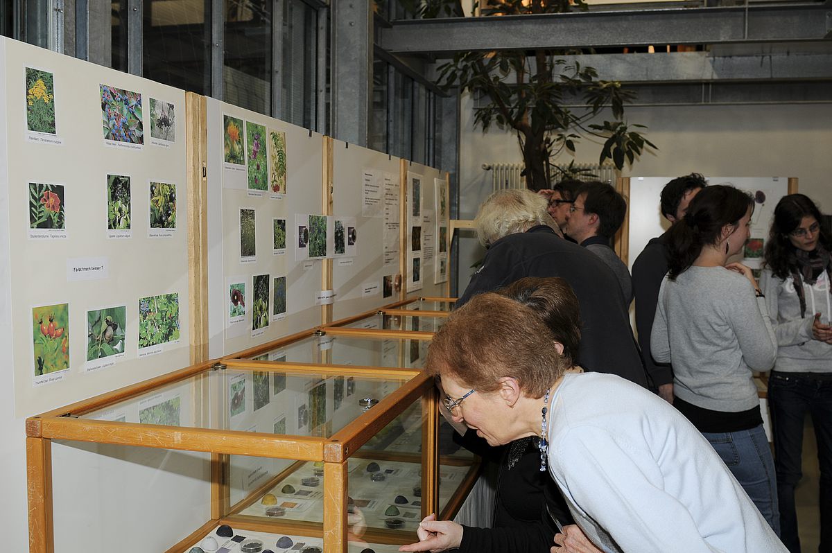 Foto: Botanischer Garten