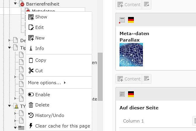 Screenshot aus dem TYPO3-Backend zeigt eine weitere Möglichkeit wie Seitentitel verändert werden