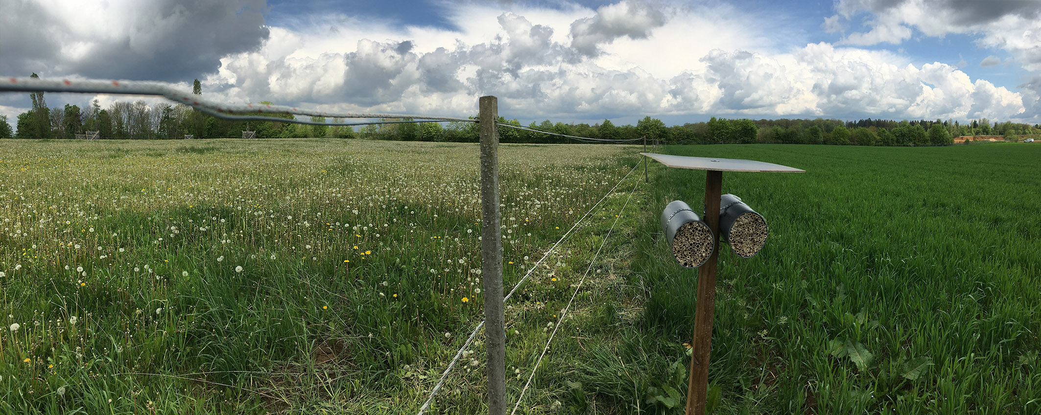 Panorama Wiese mit Bienenhaus