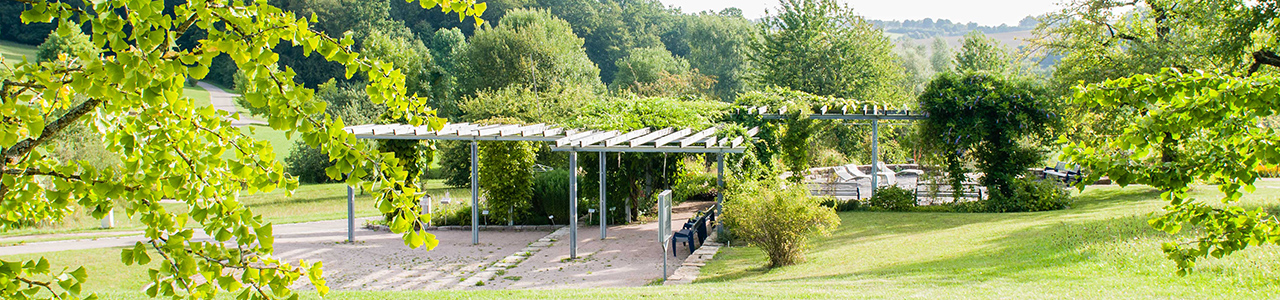 Botanischer Garten Universitat Ulm