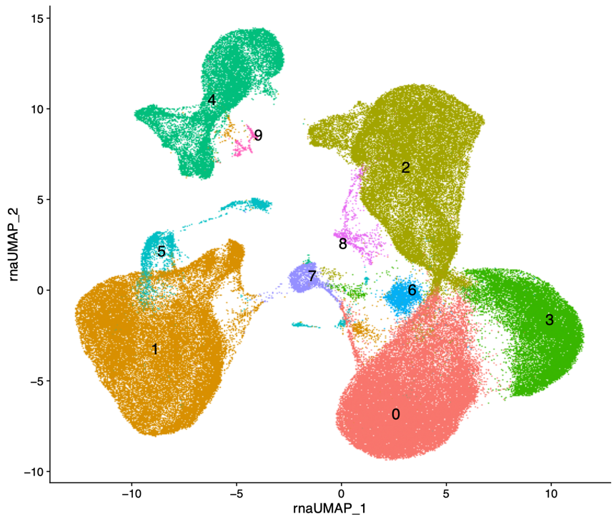 UMAP profile of pbmc based on scRNA-seq UMAP profile of pbmc based on scRNA-seq