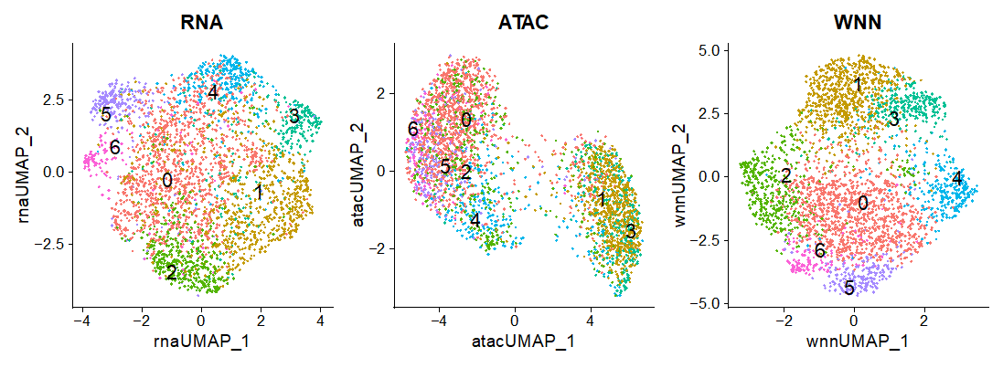 A representative multiome UMAP profile A representative multiome UMAP profile