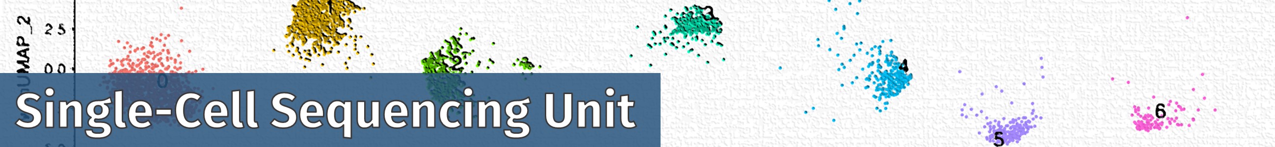 Single-cell sequencing banner title Single-cell sequencing banner title