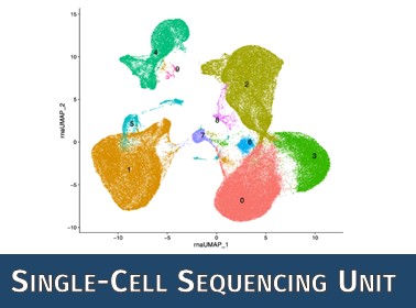 Symbolbild der Single Cell Sequencing Unit