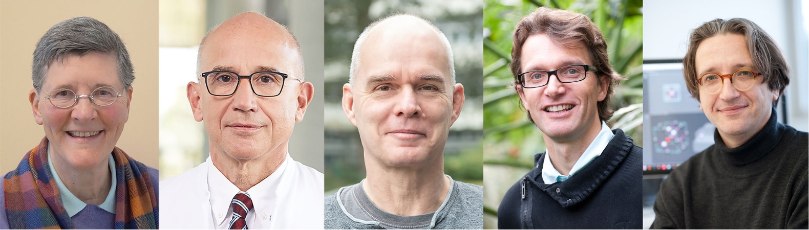 Die Highly Cited Researcher der Uni Ulm 2024: Dr. Dr. Kelly Del Tredici und die Profs. Hartmut Döhner, Frank Kirchhoff, Steven Jansen und Fedor Jelezko