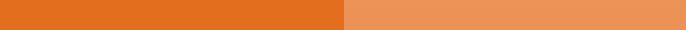 Banner Nawi Banner in den Farben hell- und dunkelorange
